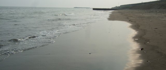 浜辺の様子